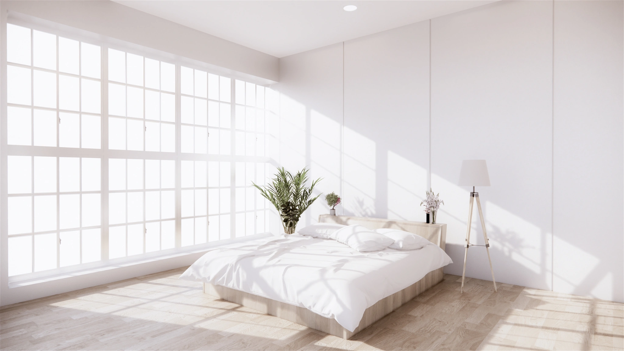 mattress-sanitisation-gold-coast.jpg.png