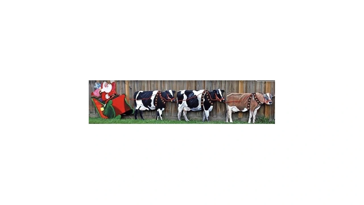 Santa in Sleigh with Dairy Cows - (resize).jpg