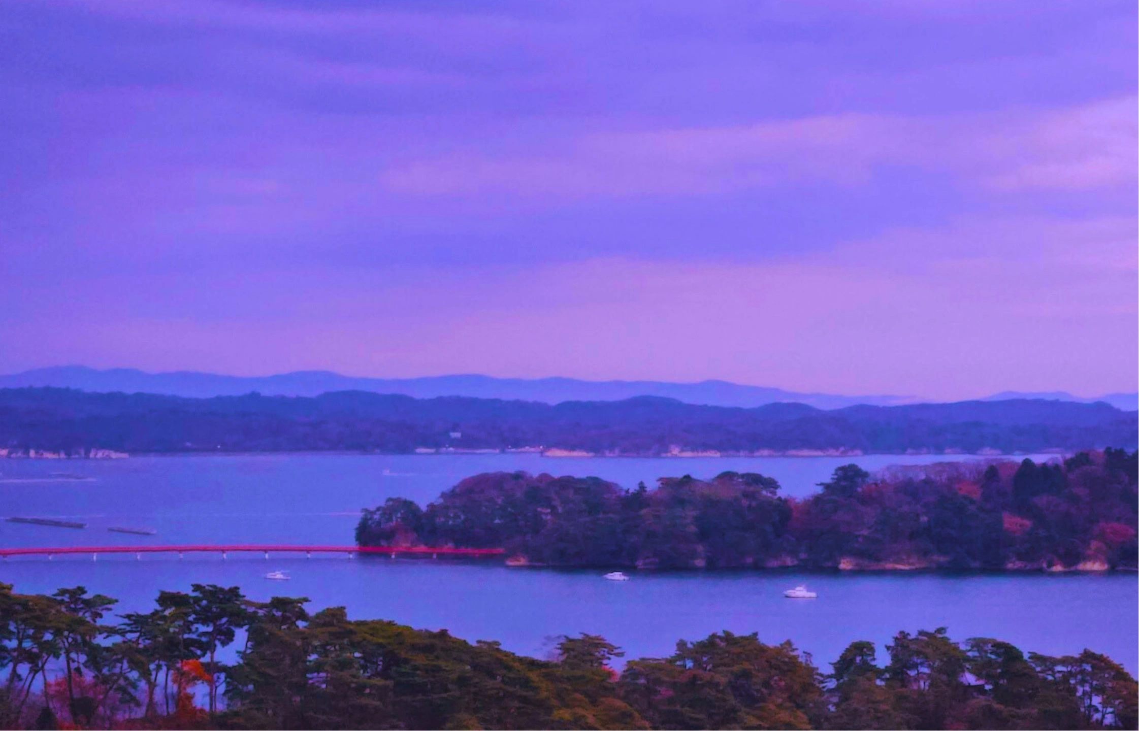 Untitled design (3).jpg