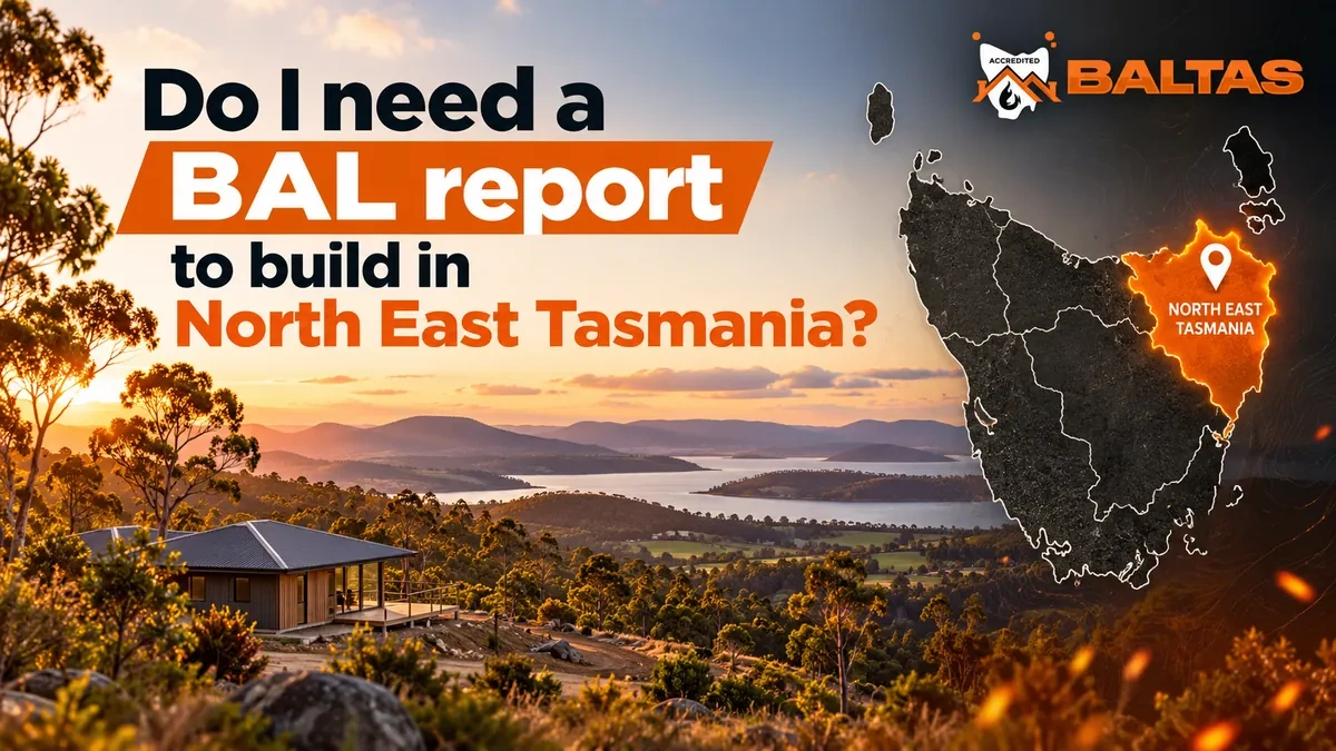 bal-report-north-east-tasmania.webp