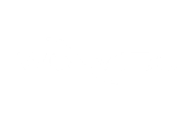 we-wibe-white-logo.png