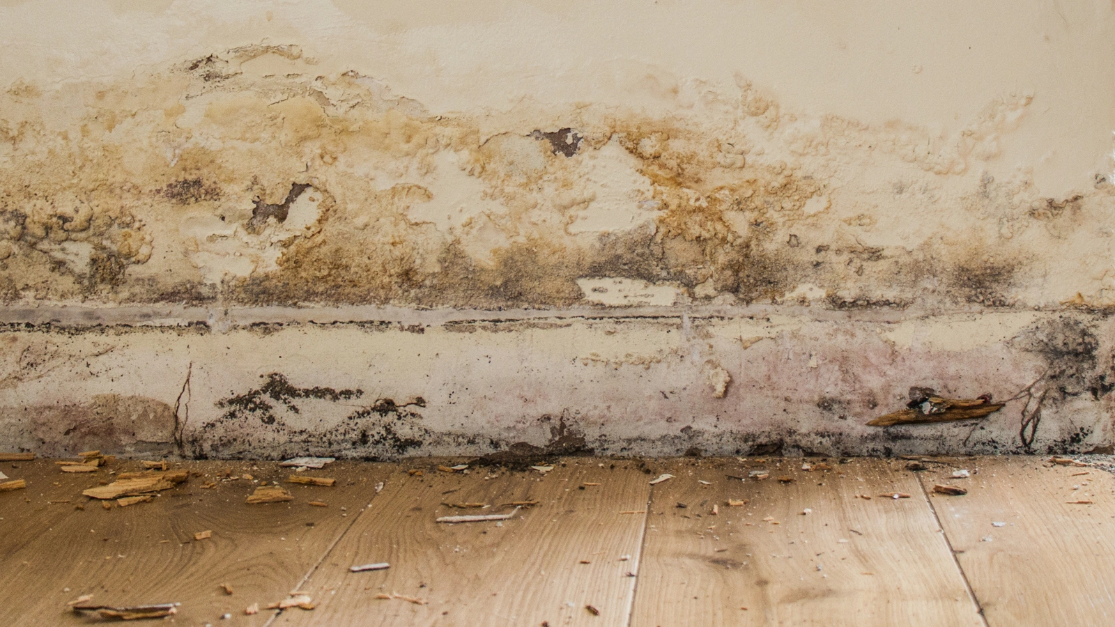 rising-damp-reapir.jpg