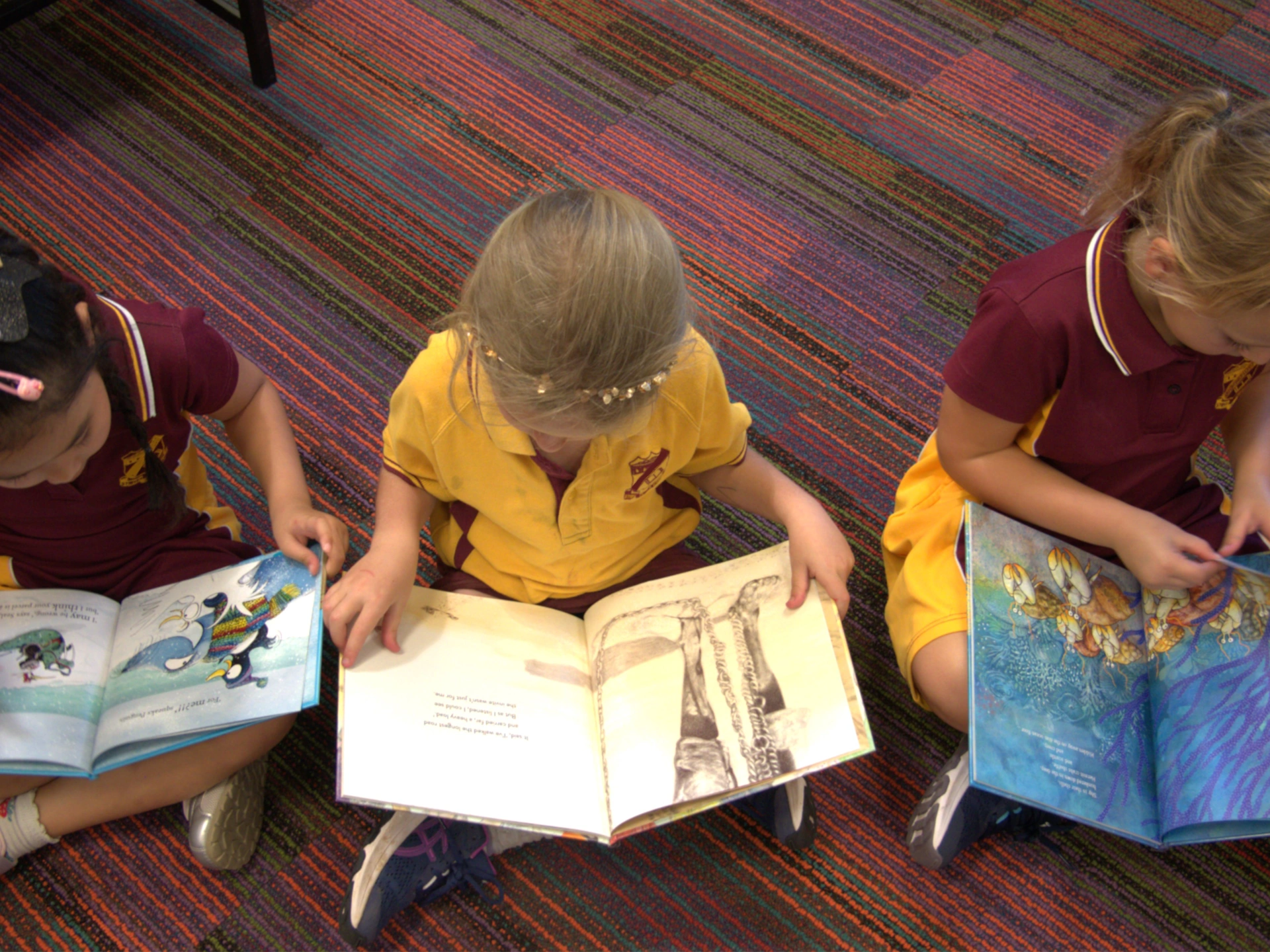 Dymocks Children's Charities Supporting School.png