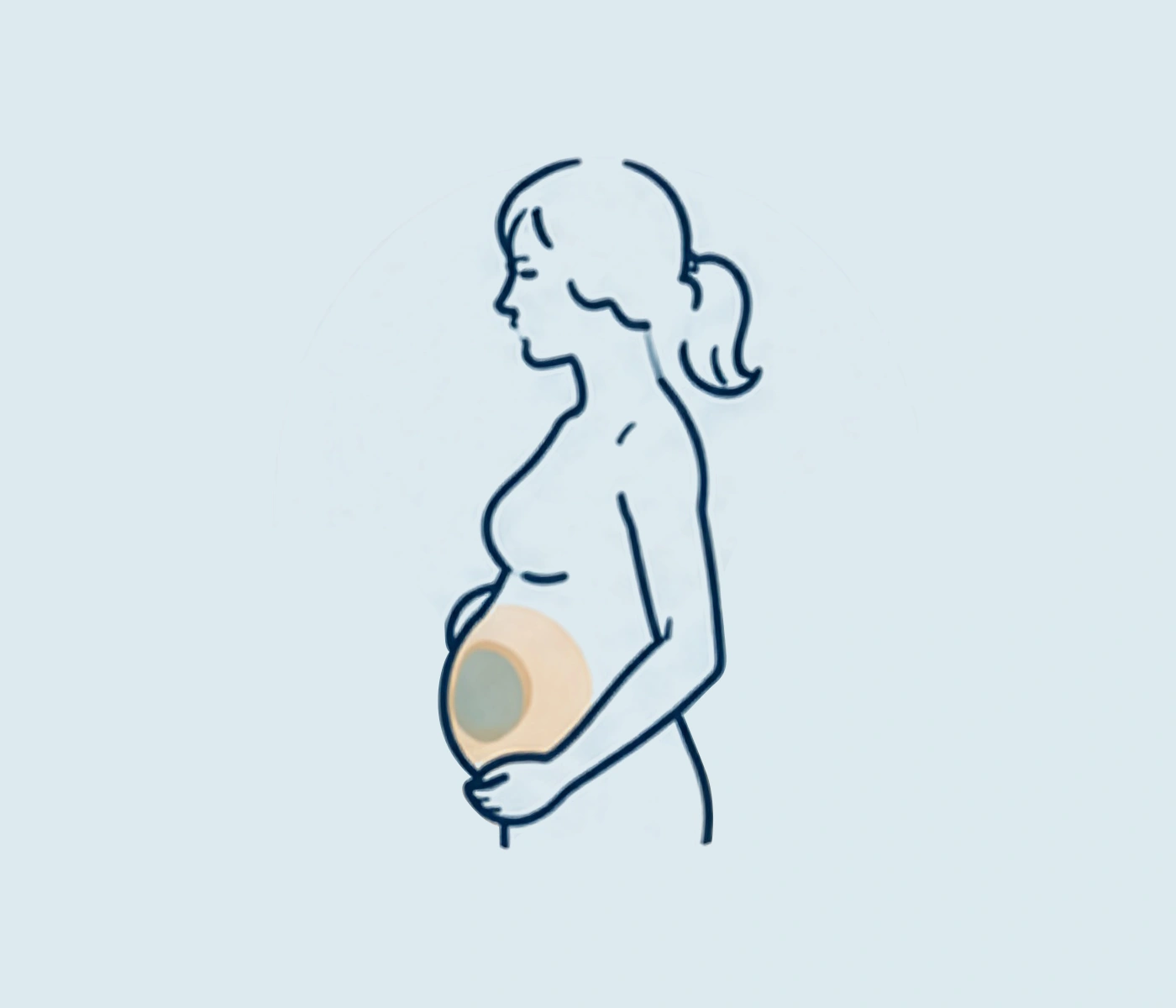 Pregnancy v2.png