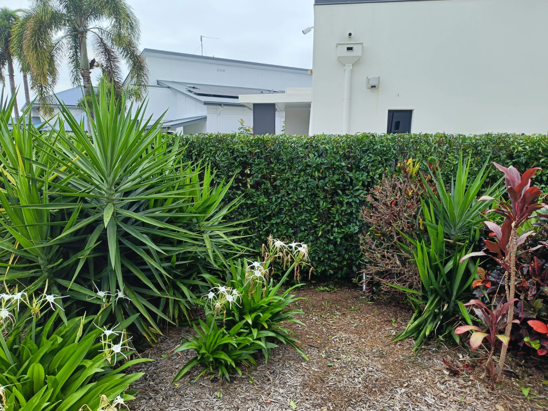 IMG20241209095305 (1).jpg