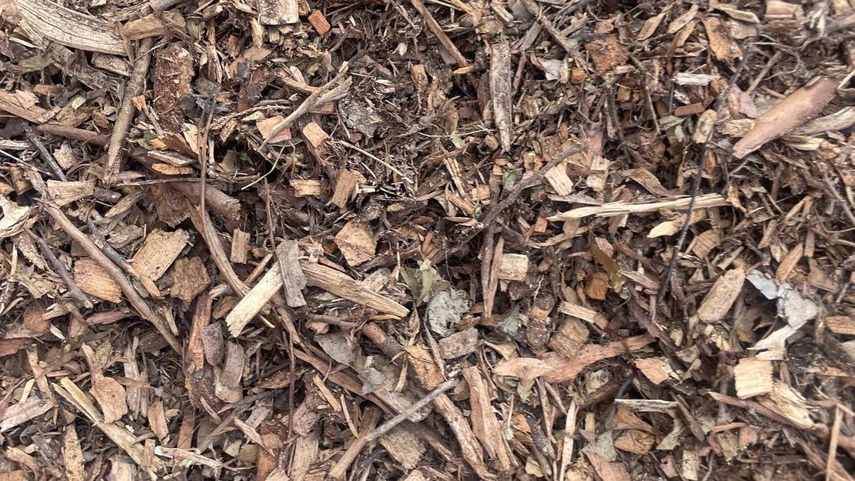 tree-mulch.jpg