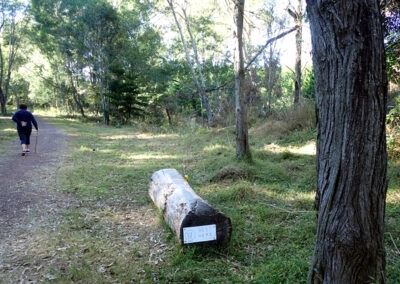 Resting-Log-400x284.jpg