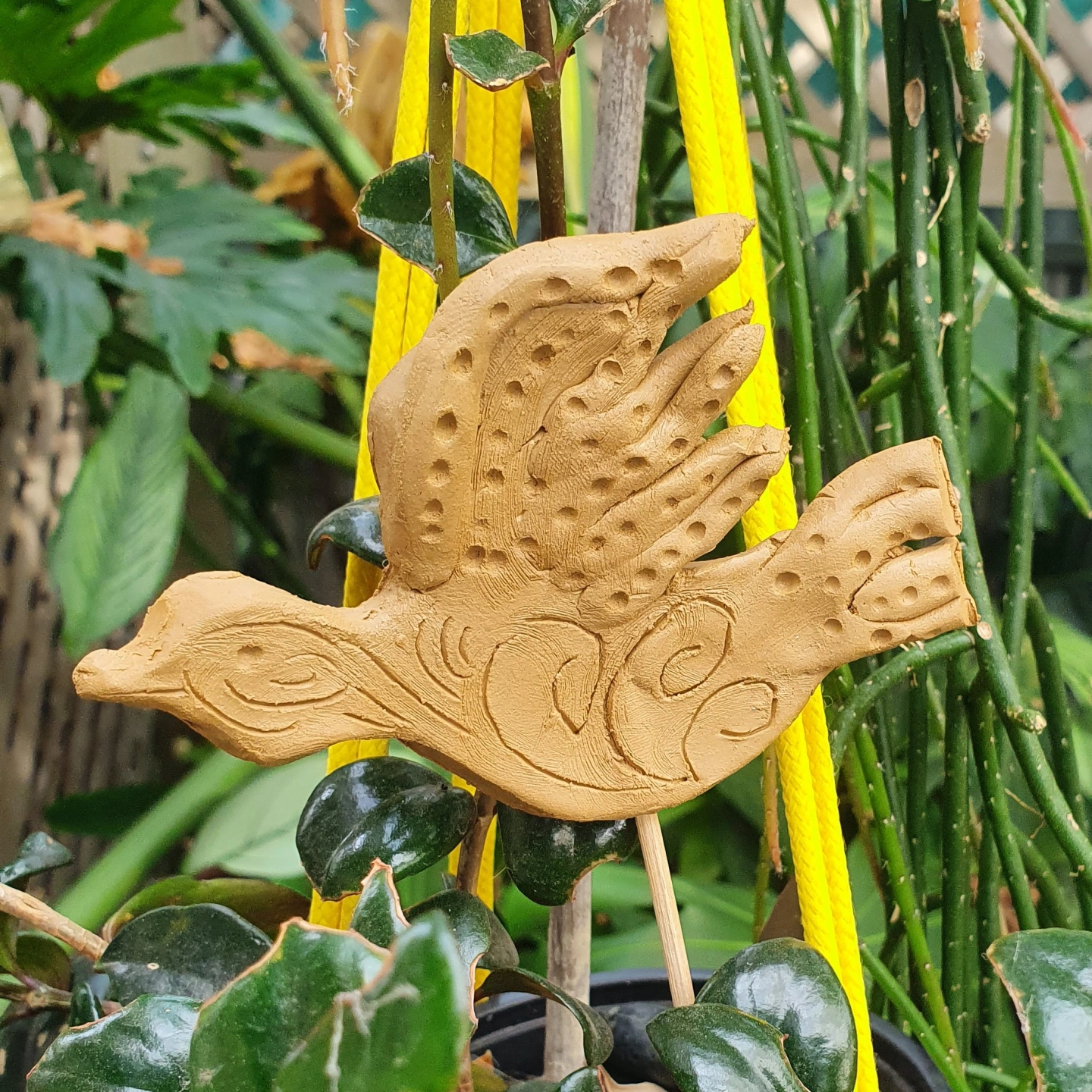 Bird clay.jpg