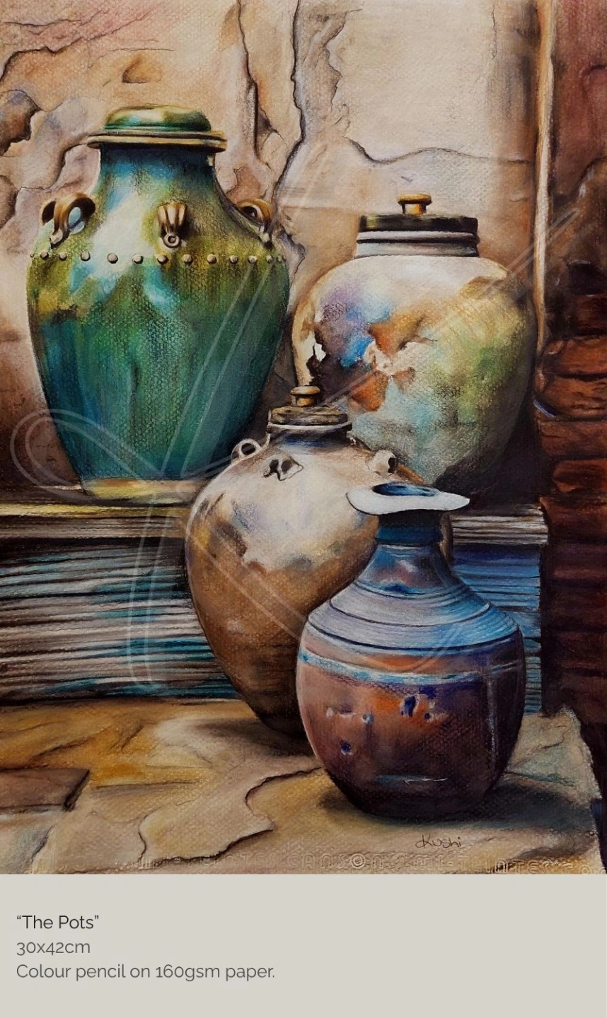 “Pots” 30x42cm Colour pencil on 160gsm paper. Inspired by a photograph by Denise McQuillan-2.jpg