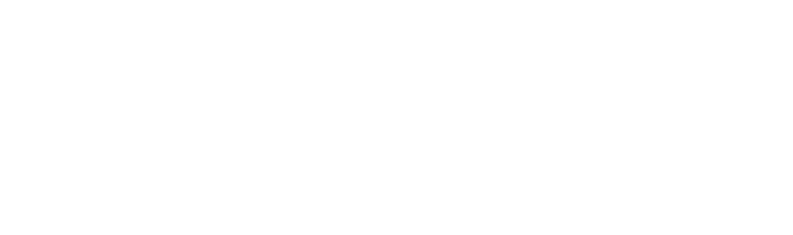 SociaLens Consulting