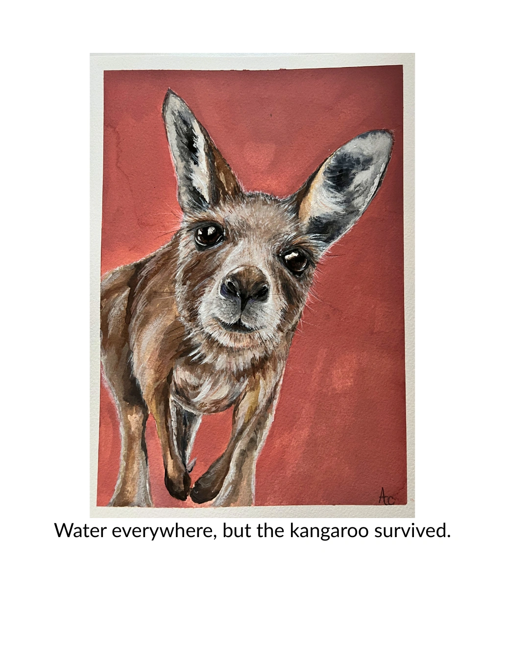 Finished this little kangaroo.png