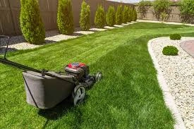 lawn.jpeg