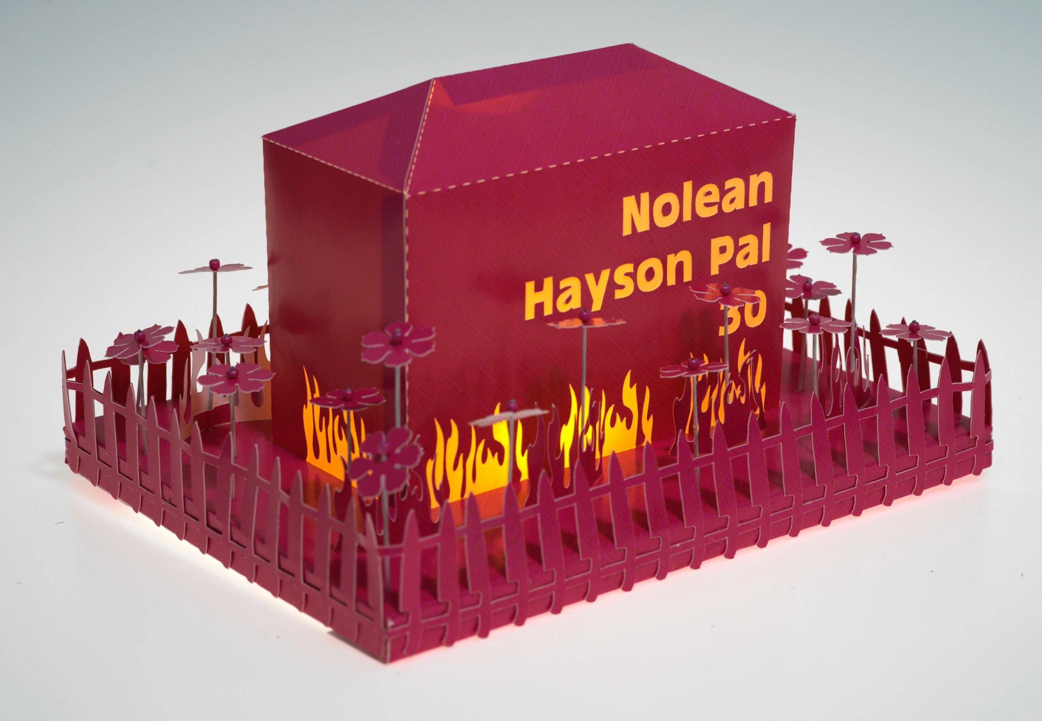 26 Nolean Hayson Pal.jpg