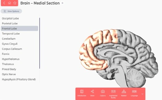 Screenshot 2026-01-31 001347.jpg