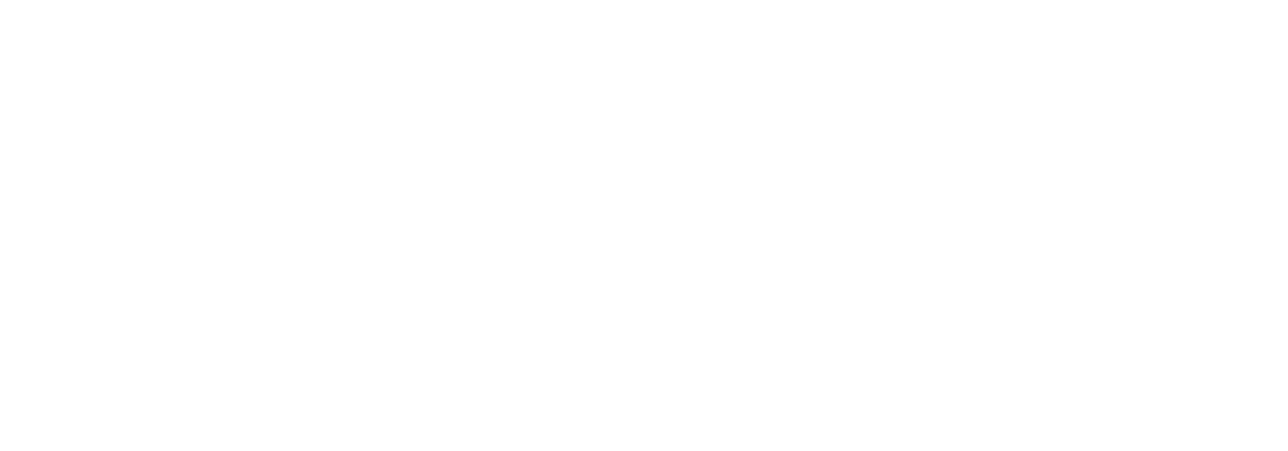 noBgWhite.png