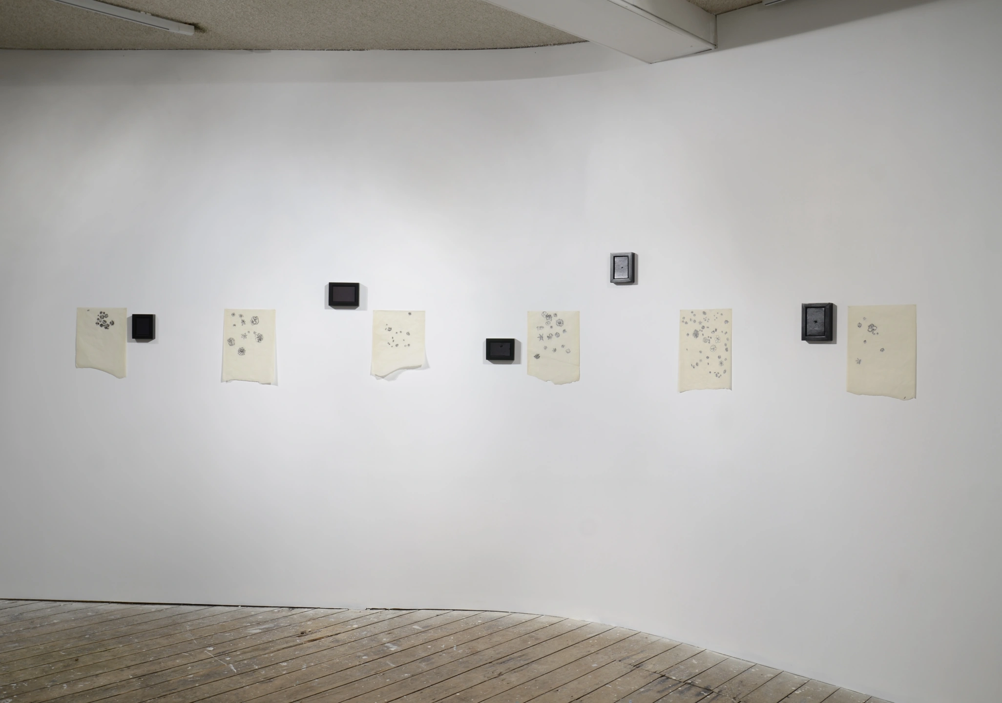 Seeing Things 19-.JPG