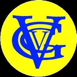 vicvetsgolf.org.au