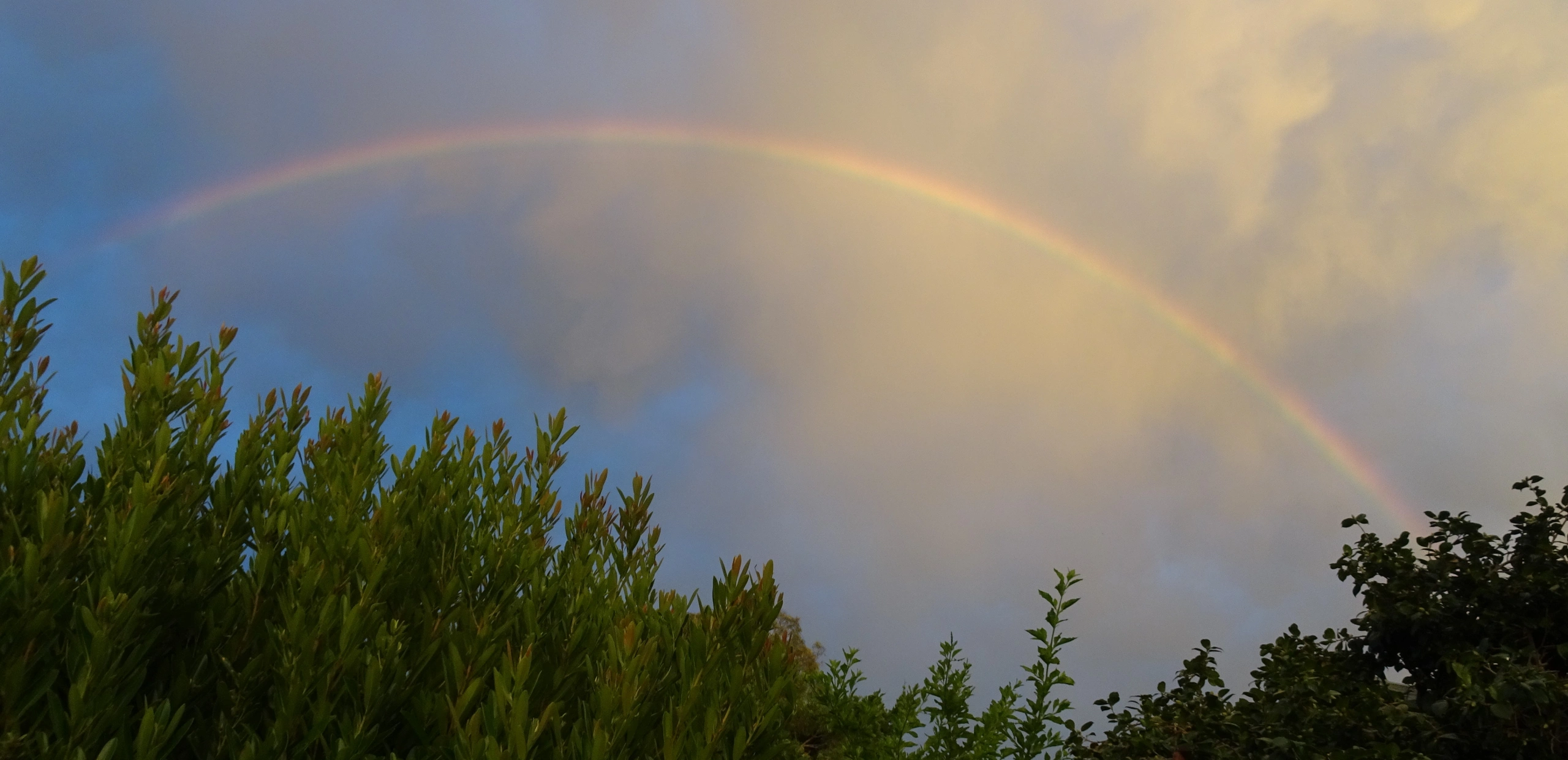 Website banner customer engagement page.jpg