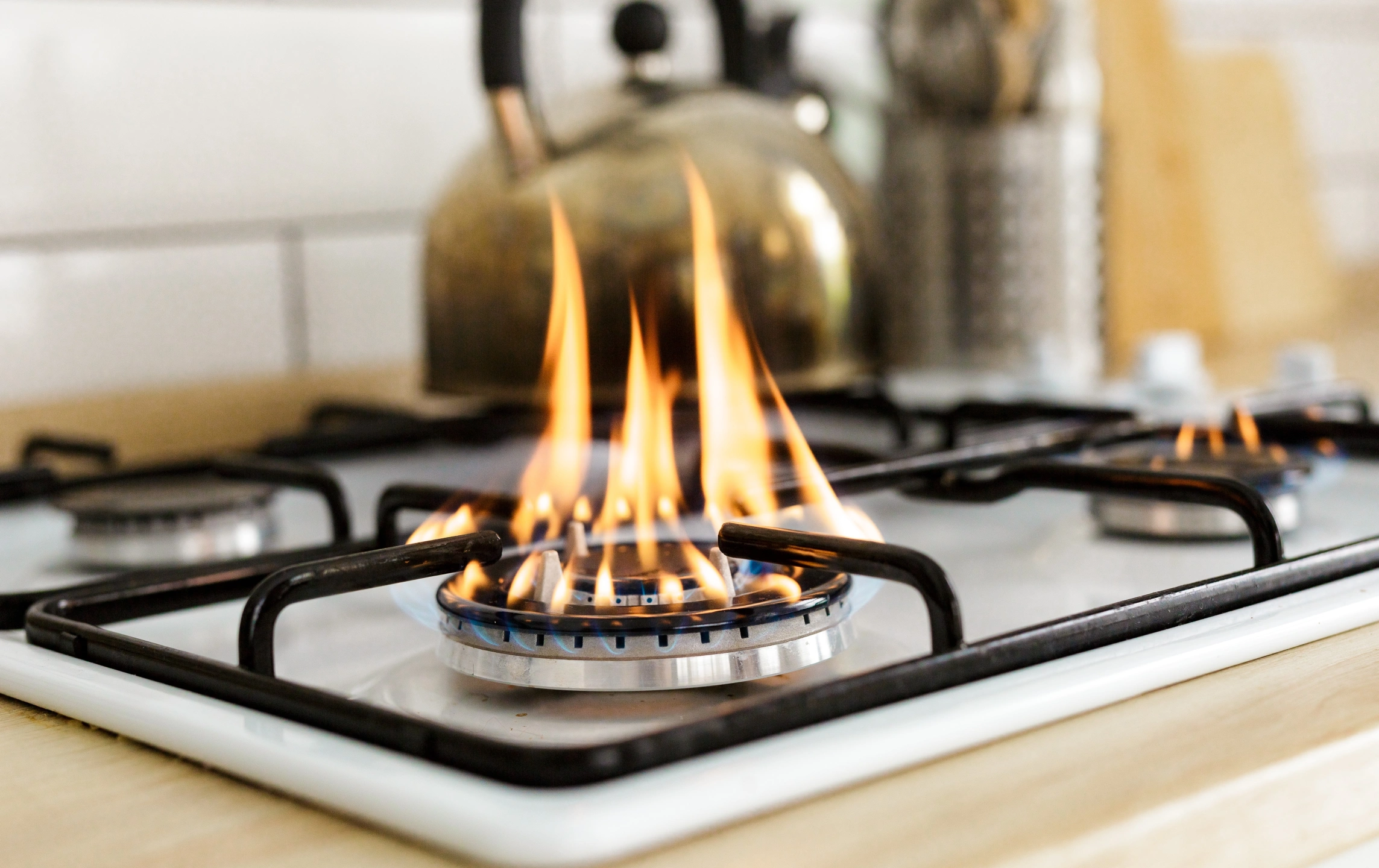 AdobeStock_327356278 smaller.jpeg