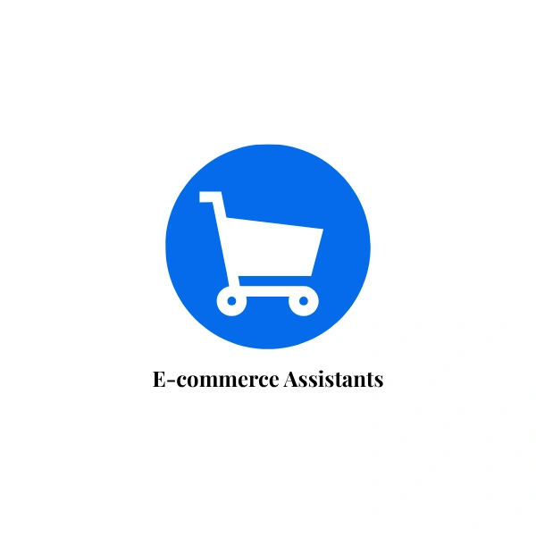 Ecommerce VAs.png