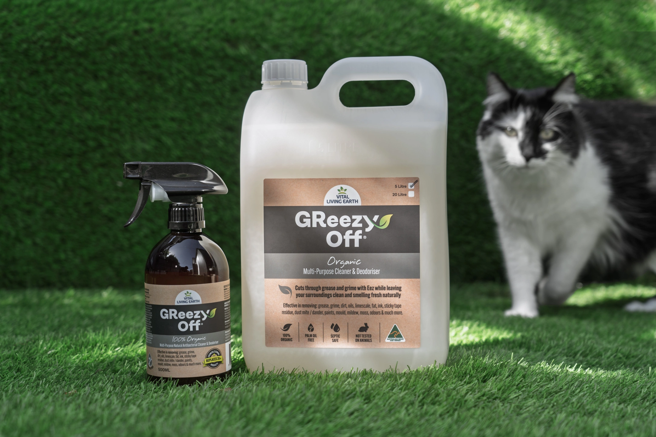 GreezyOff-Cat-shot-1.jpg