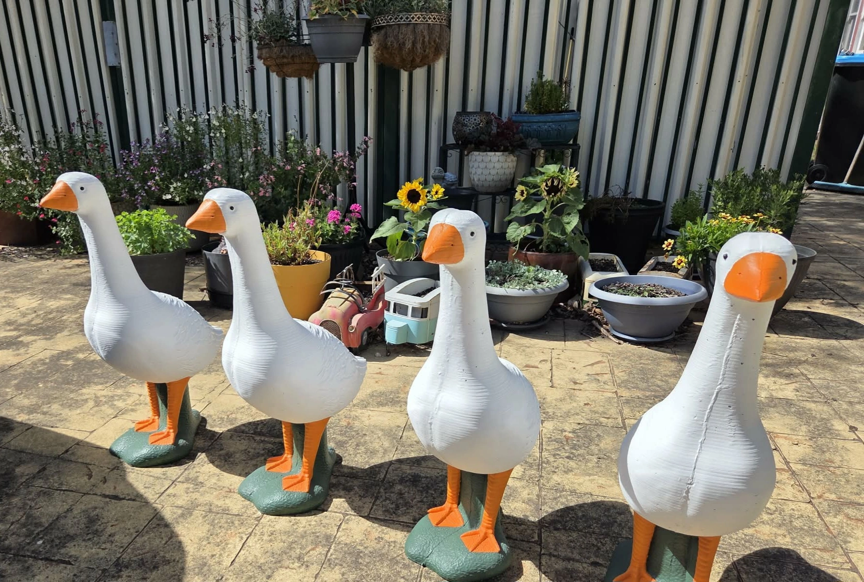 Messenger_creation_23617C18-9627-48E6-BBD0-99A79B8DE58E (1).jpeg