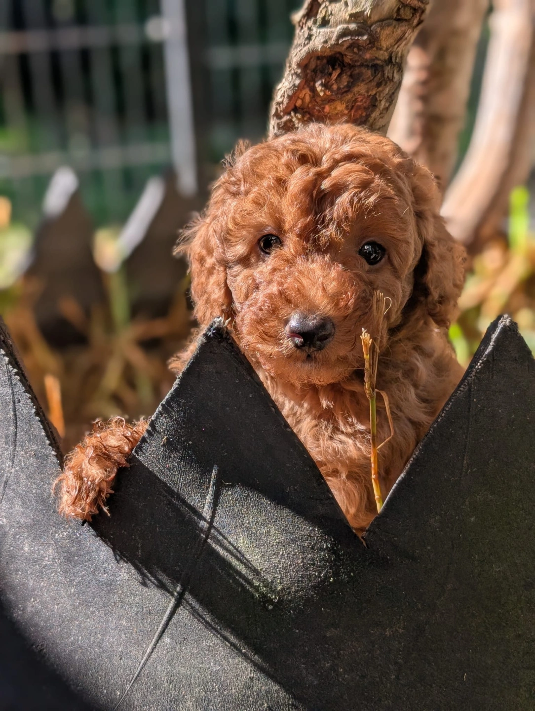 WhatsApp Image 2026-04-08 at 8.00.26 PM 3.jpeg