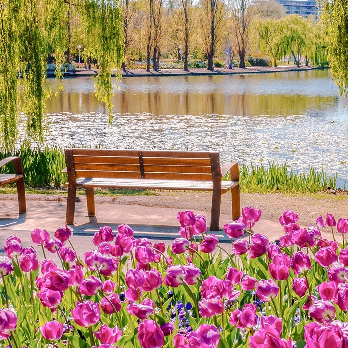 florade 1.webp