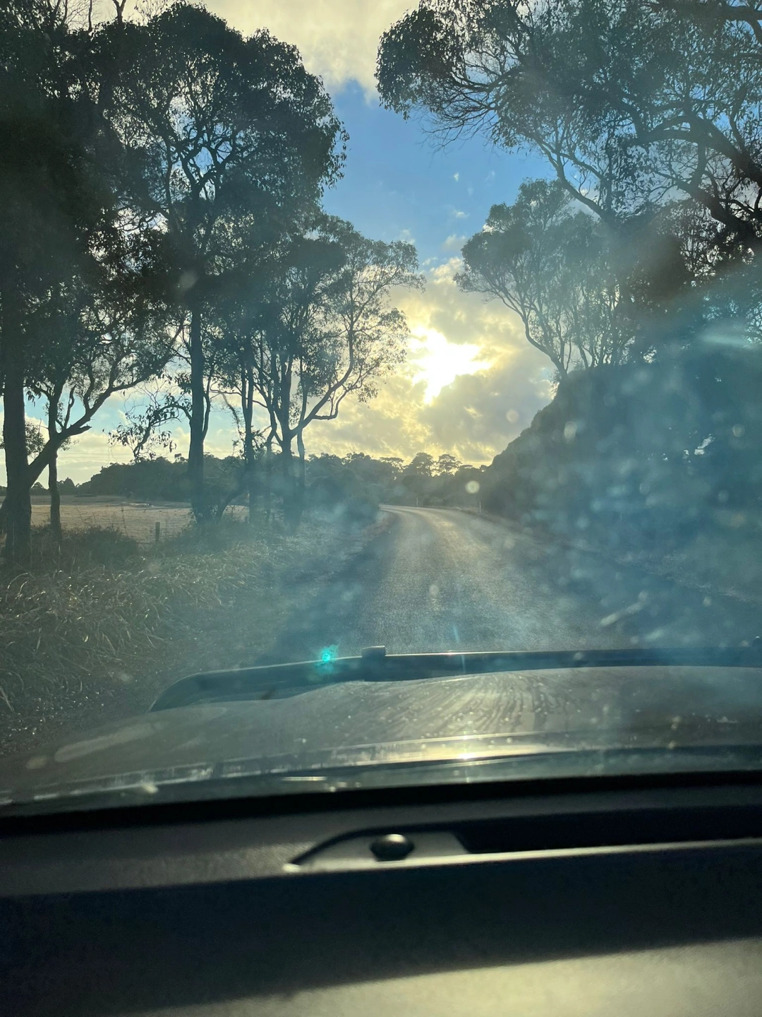 WhatsApp Image 2026-03-04 at 2.55.03 PM (1) (1).jpeg