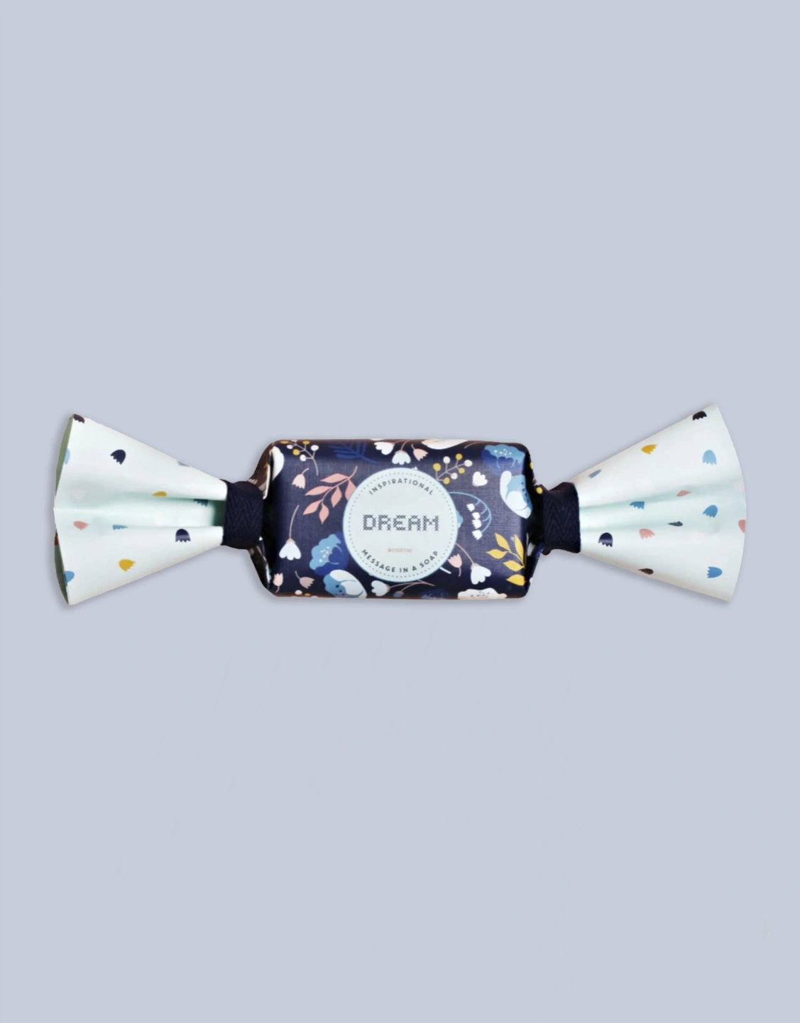 DAN300 MESSAGE IN A SOAP DREAM IMAGE#1b.jpg