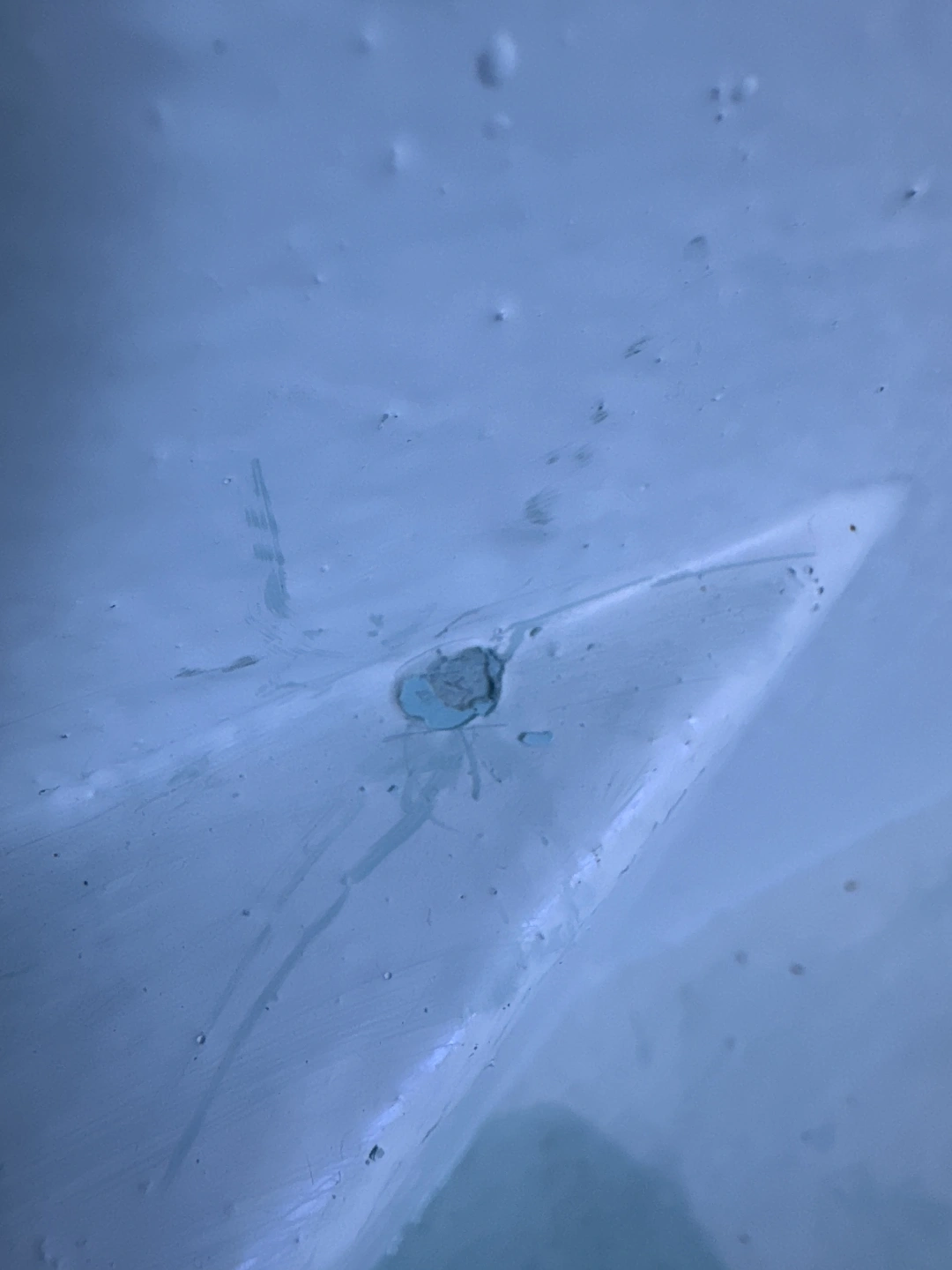 811209202.jpg