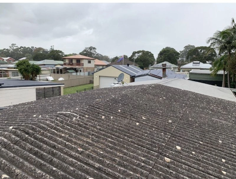 WhatsApp Image 2025-11-22 at 5.44.44 PM.jpeg