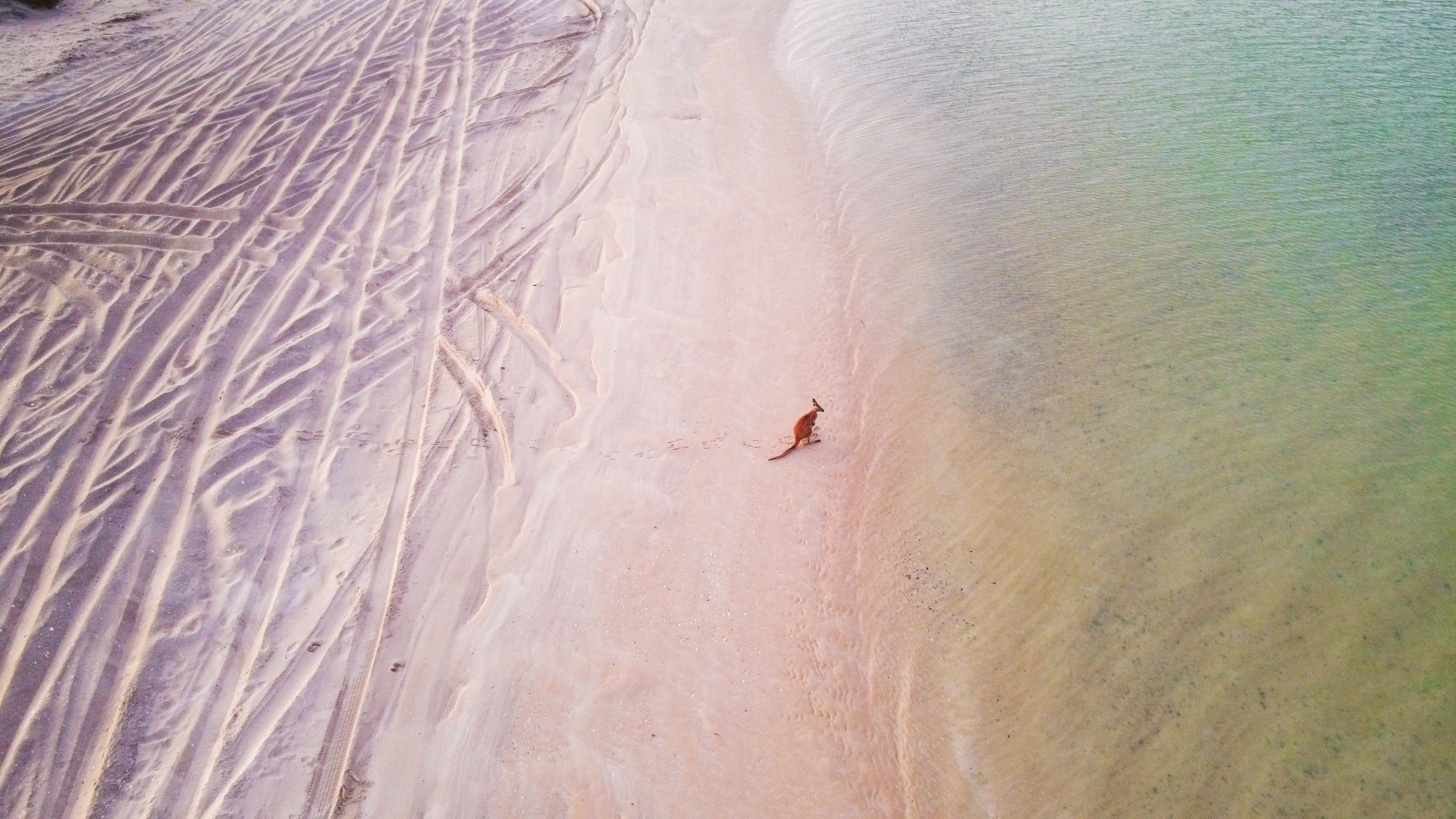 urlaubstracker-Zi6utJocA0I-unsplash.jpg