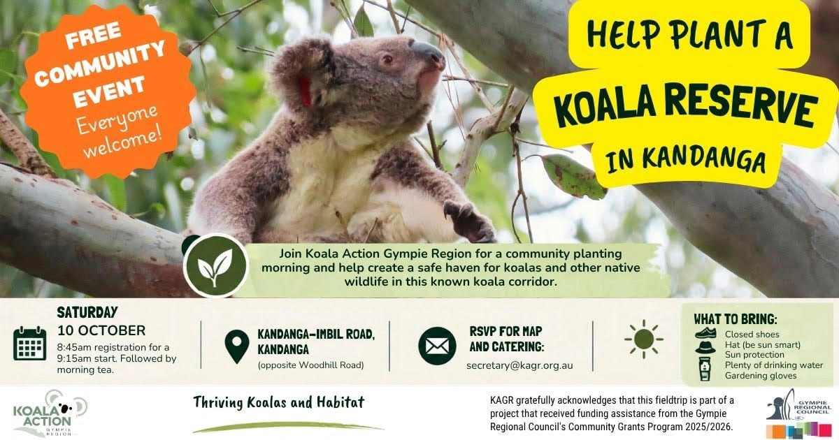 Koala Planting.png