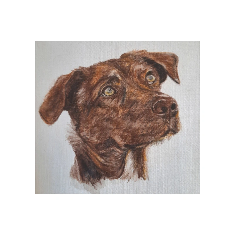 watercolour dog sh 2 web.jpg