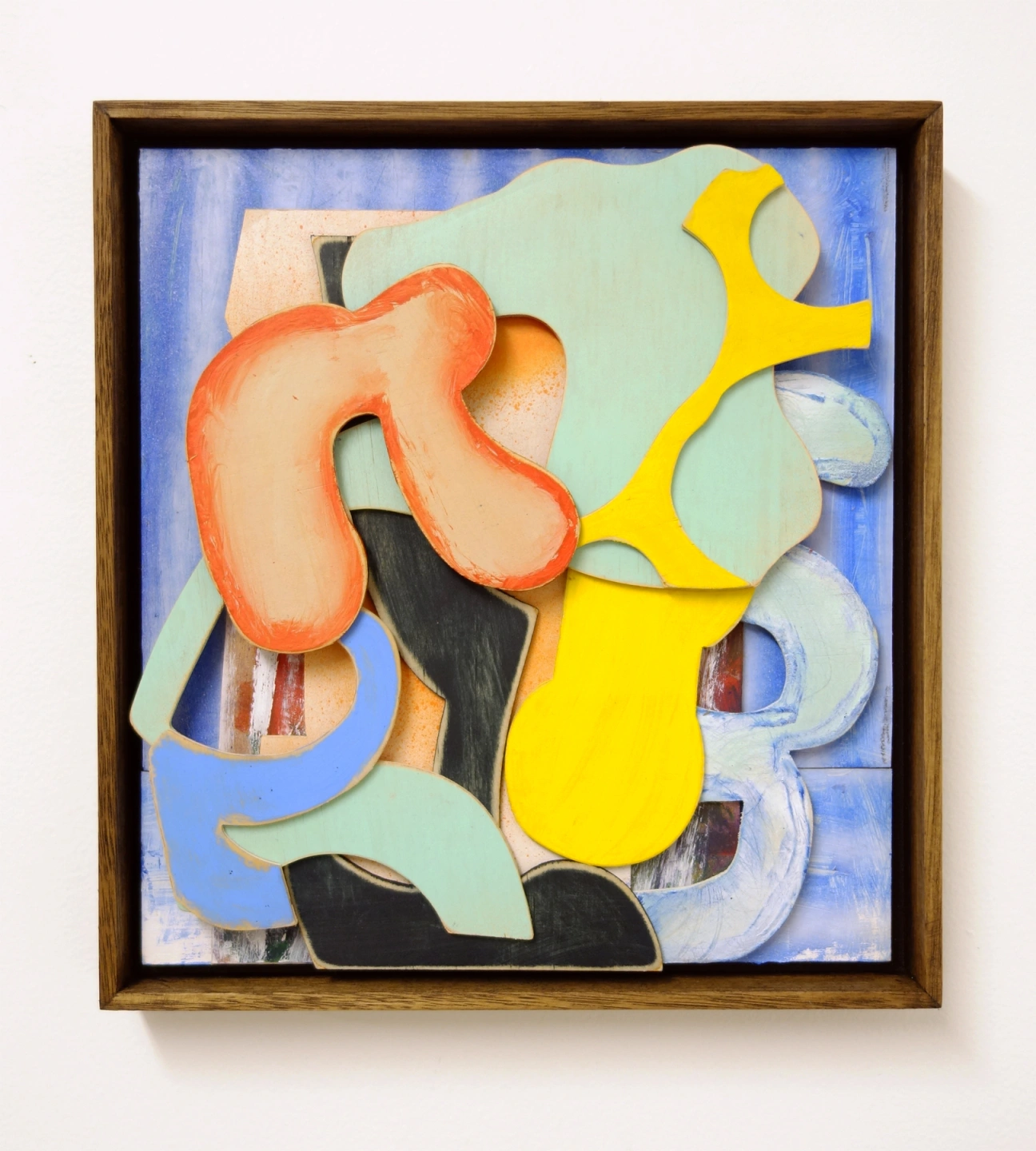 Donaldson Cryptic Era 11.jpg