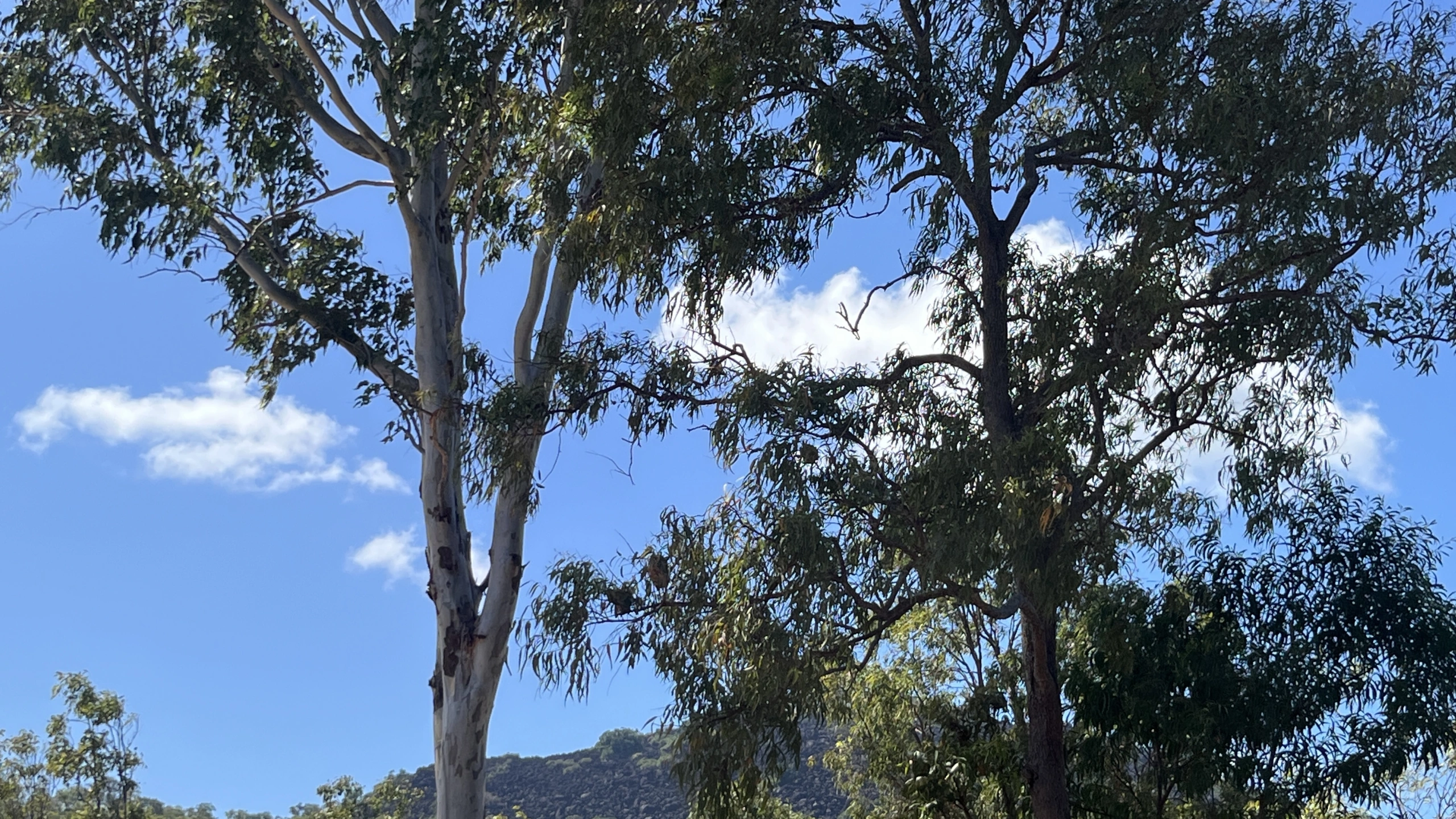 IMG_2545.JPEG