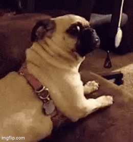 auok7m.gif