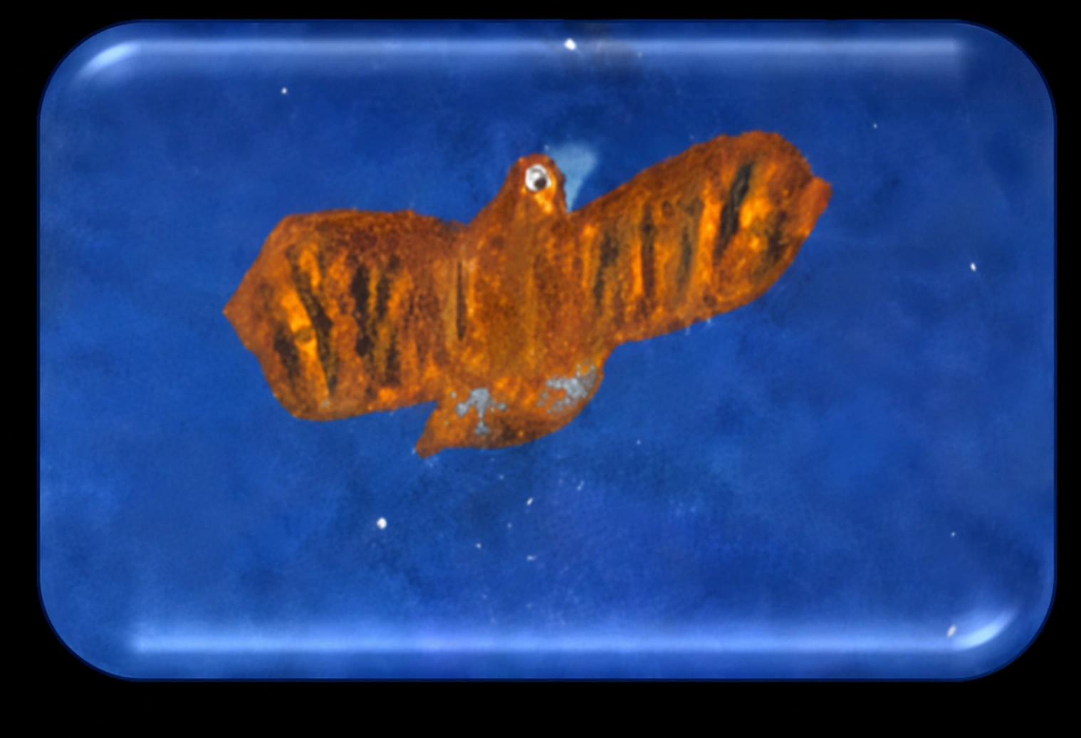 Eagle.png