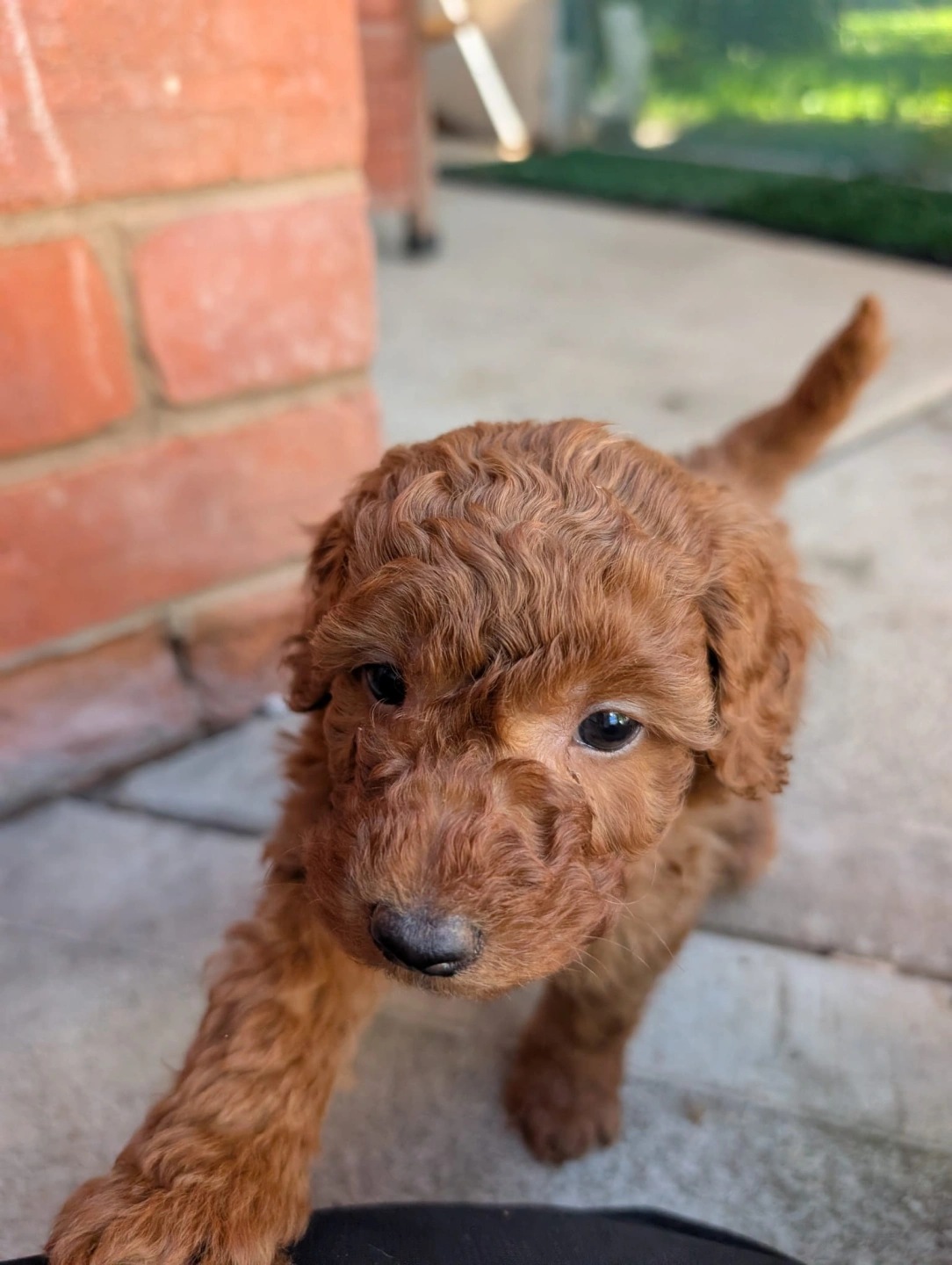 6 eeeks - 2026-03-31 at 5.07.44 PM 2.jpeg