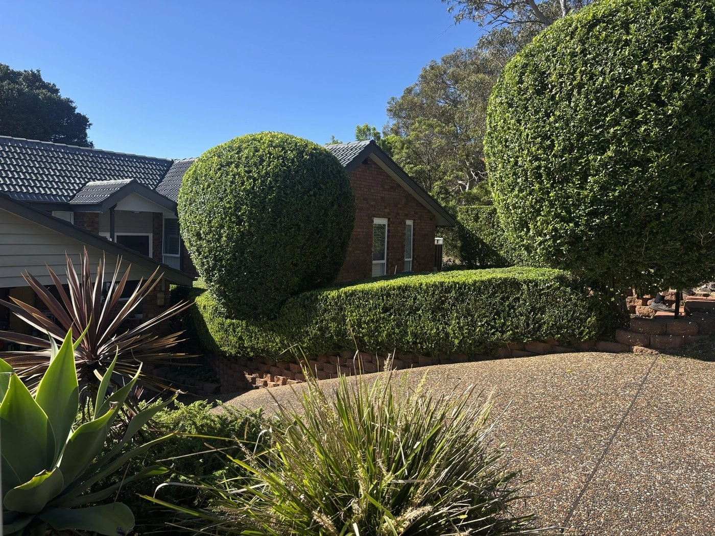 05-shaped-hedges.jpg