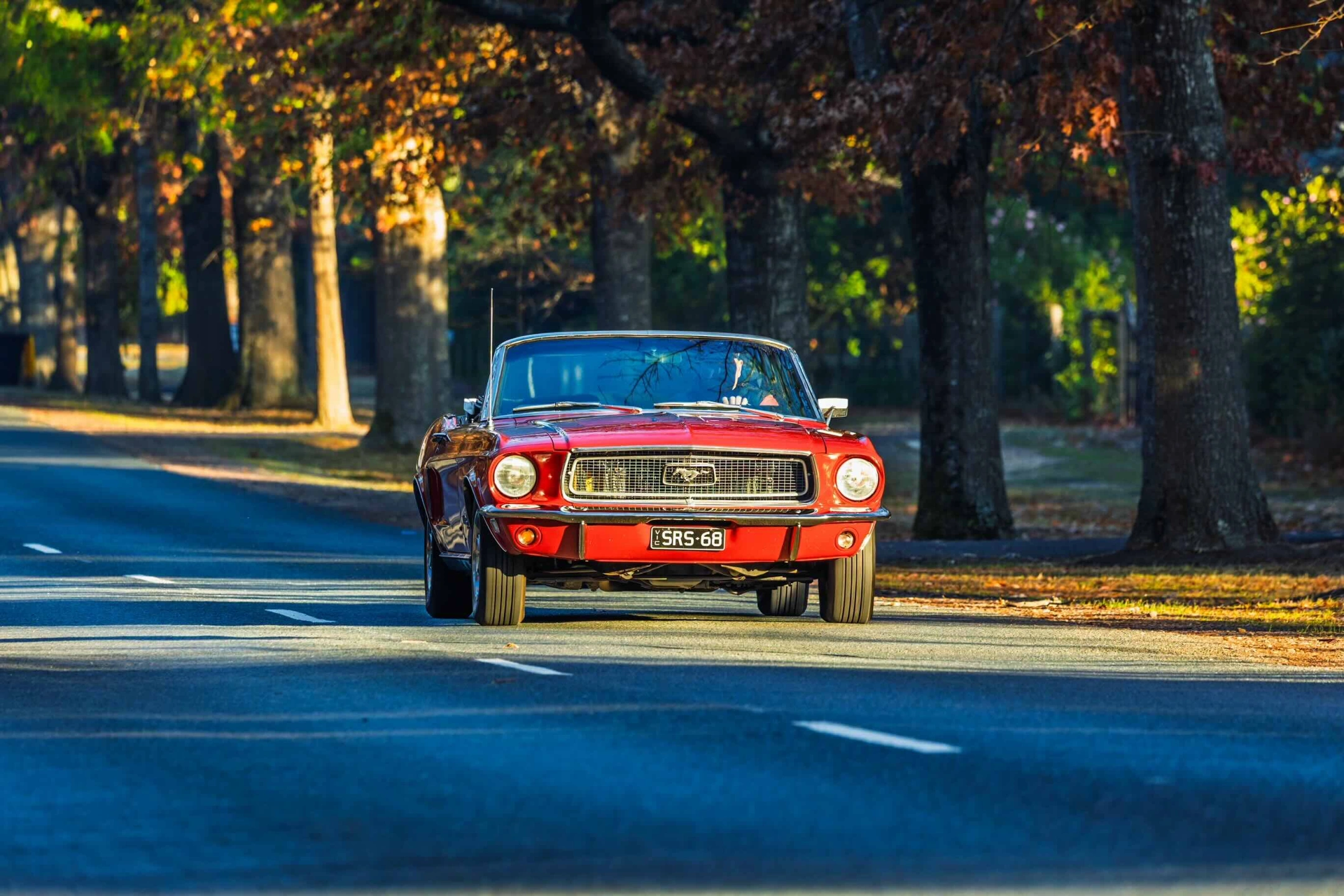 20250501-M27A5956-Edit.jpg copy.jpeg