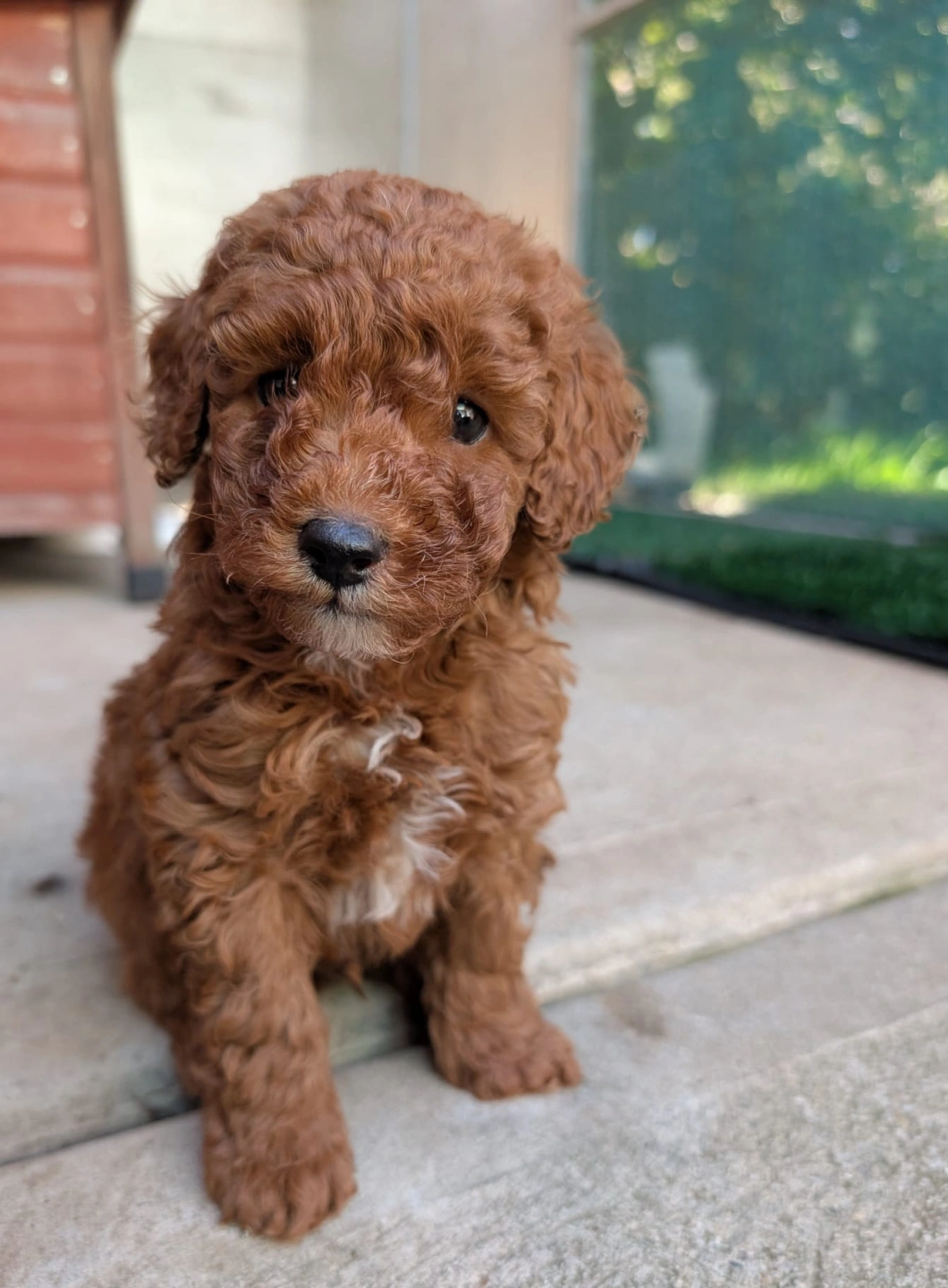 6 eeeks - 2026-03-31 at 5.09.35 PM.jpeg