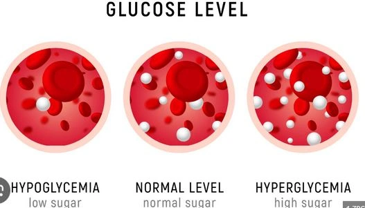 hypo.JPG
