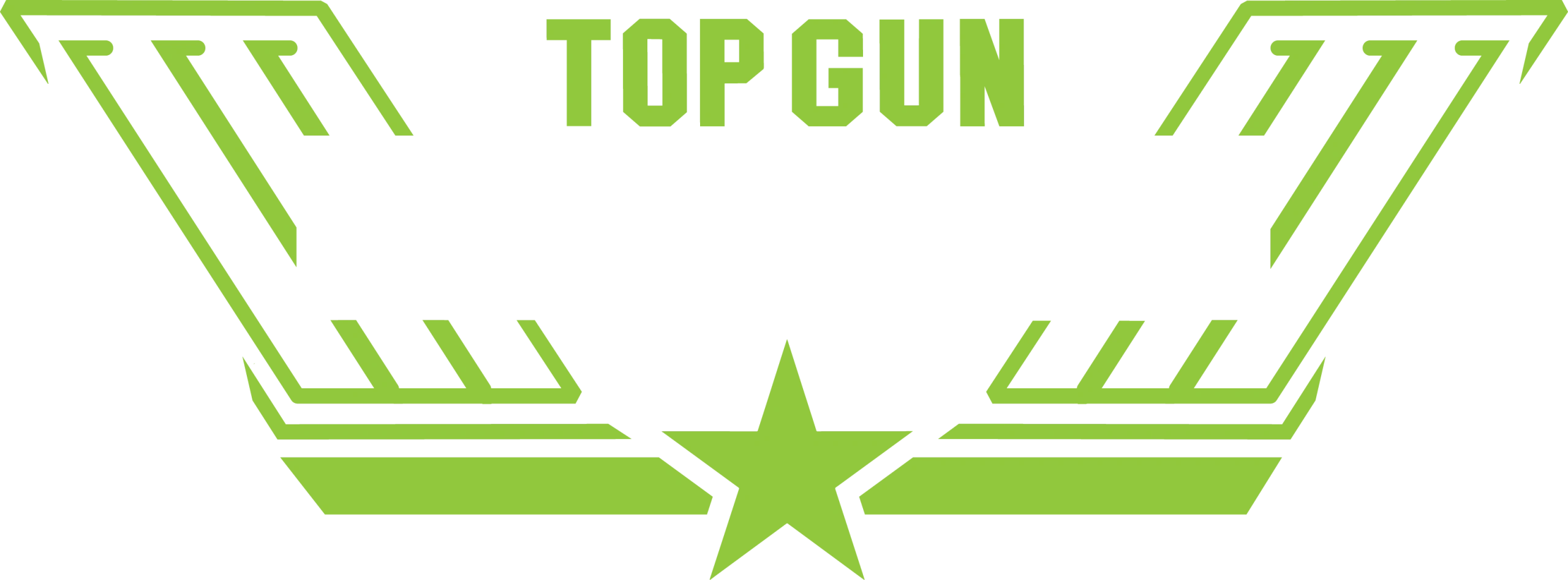 Top Gun Roofing QLD