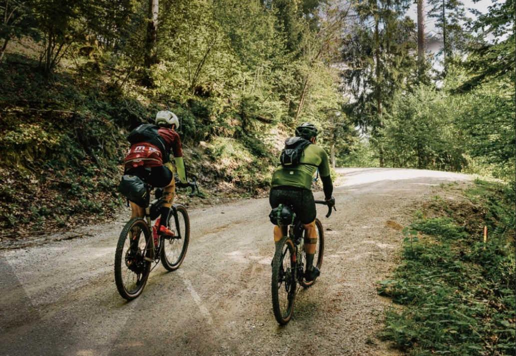 Ciclovation Ad Units - Brand Categories.png