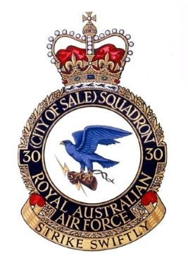 30SQN Crest website.jpg