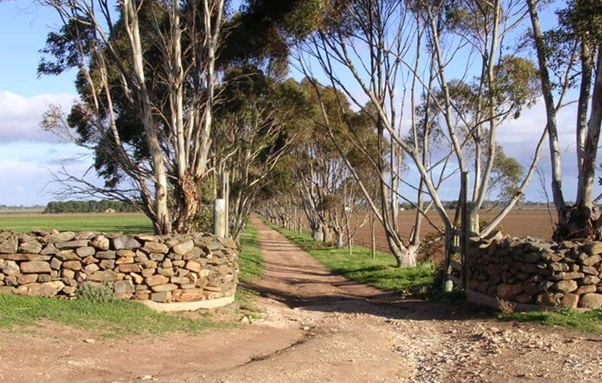 Driveway1.png