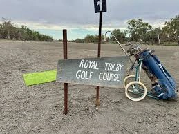 trilby golf.jpeg