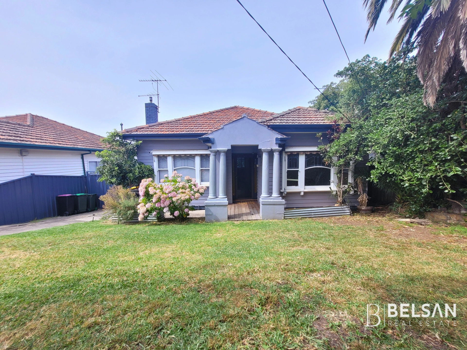 Untitled design (24).jpg